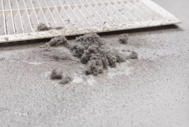 Best Affordable Duct Cleaning Services  in Unt Vernon, MO