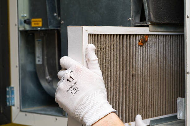 Best Ductwork Cleaning Services  in Unt Vernon, MO